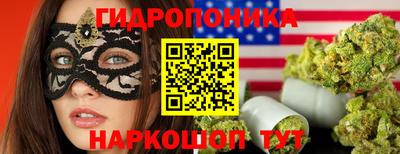 индика Саяногорск