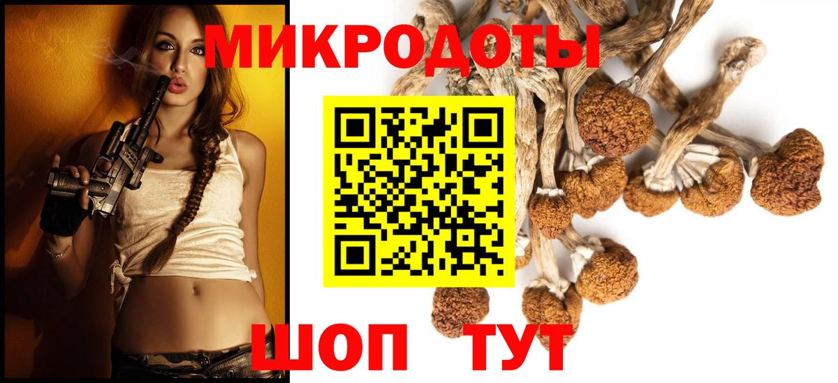 Галлюциногенные грибы Psilocybe Богданович
