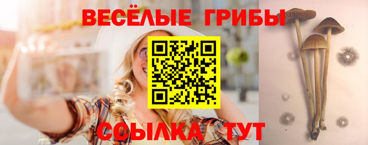Богданович  Псилоцибиновые грибы Psilocybe  продажа наркотиков  Псилоцибиновые грибы мухоморы  Вход с VPN 
